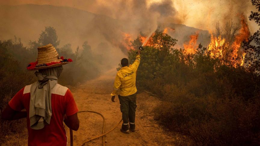 Région du Nord: Les incendies de forêt seraient d'origine humaine